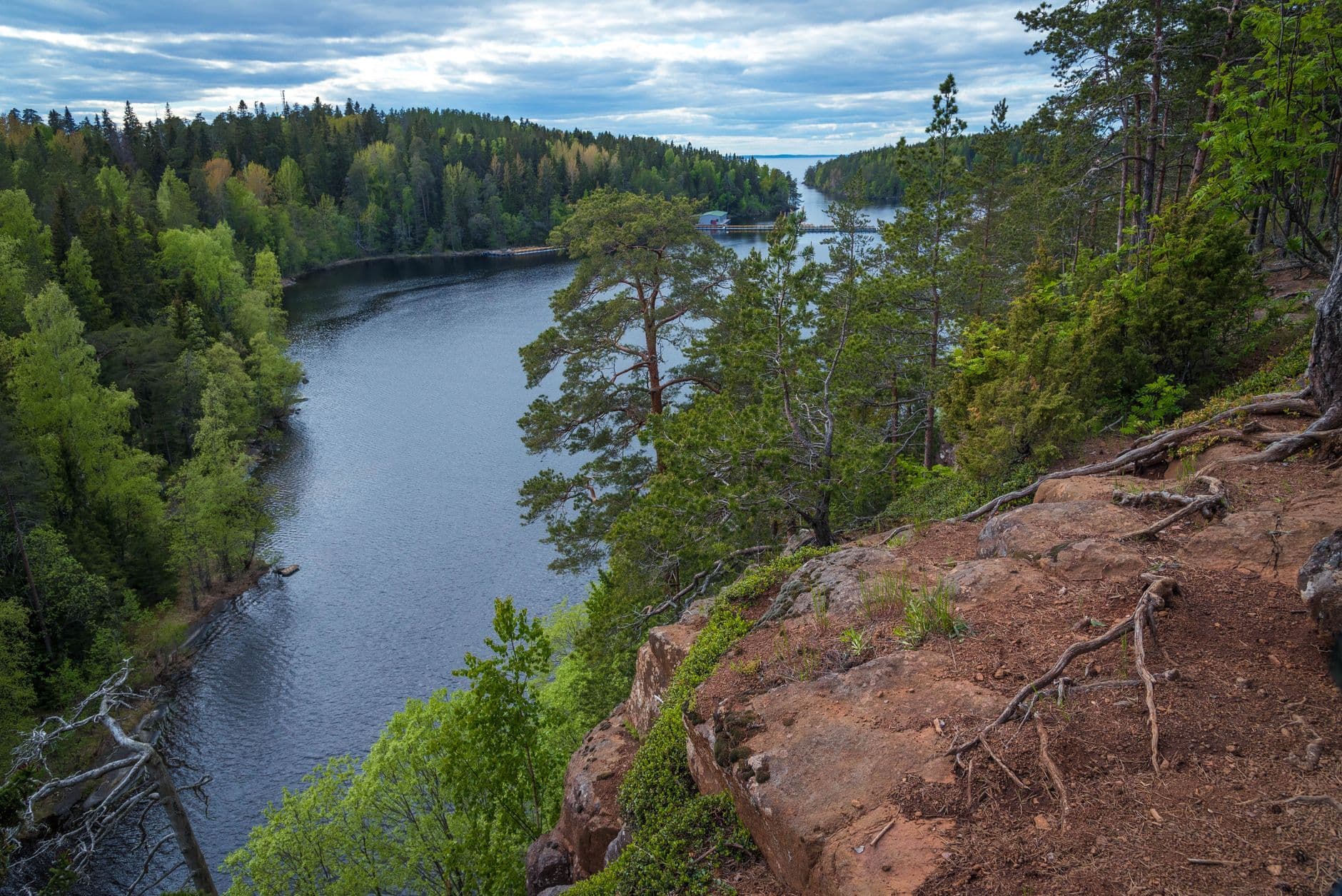 A stunning river cutting through a lush forest landscape in summer, captured in Karelia, Russia.