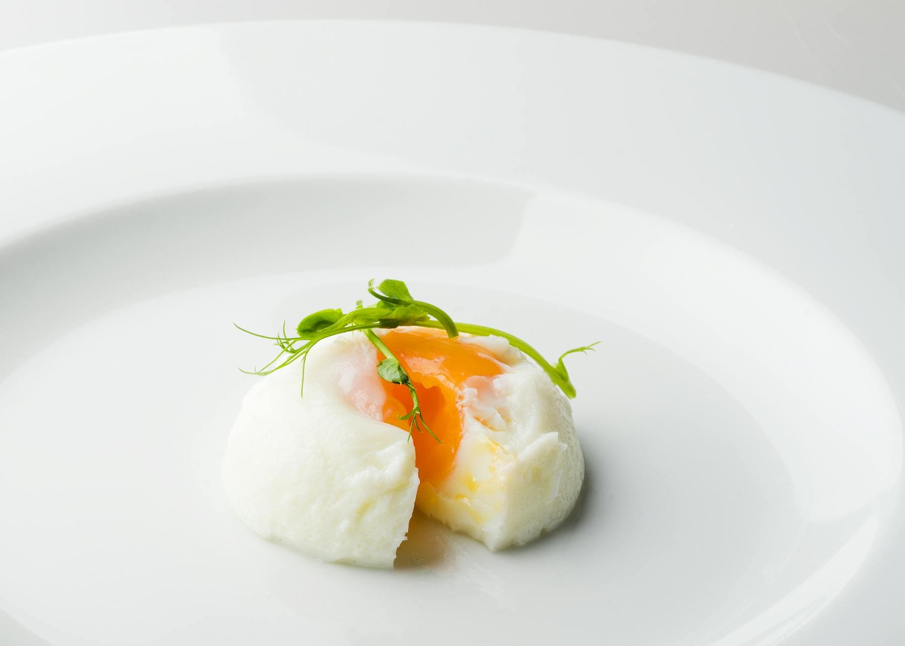 Elegant poached egg with microgreens on a plate, showcasing culinary artistry.