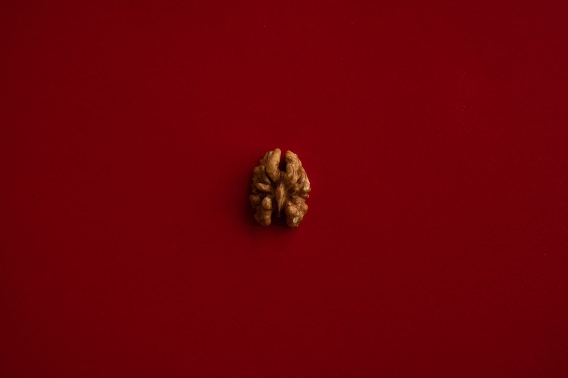 Overhead of half of walnut kernel placed in center of dark red background